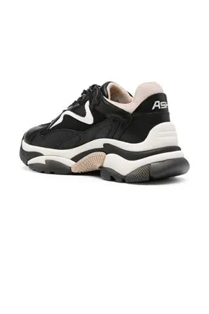 ASH Calzature,Sneakers Sneakers Addict in pelle di vitello nero 