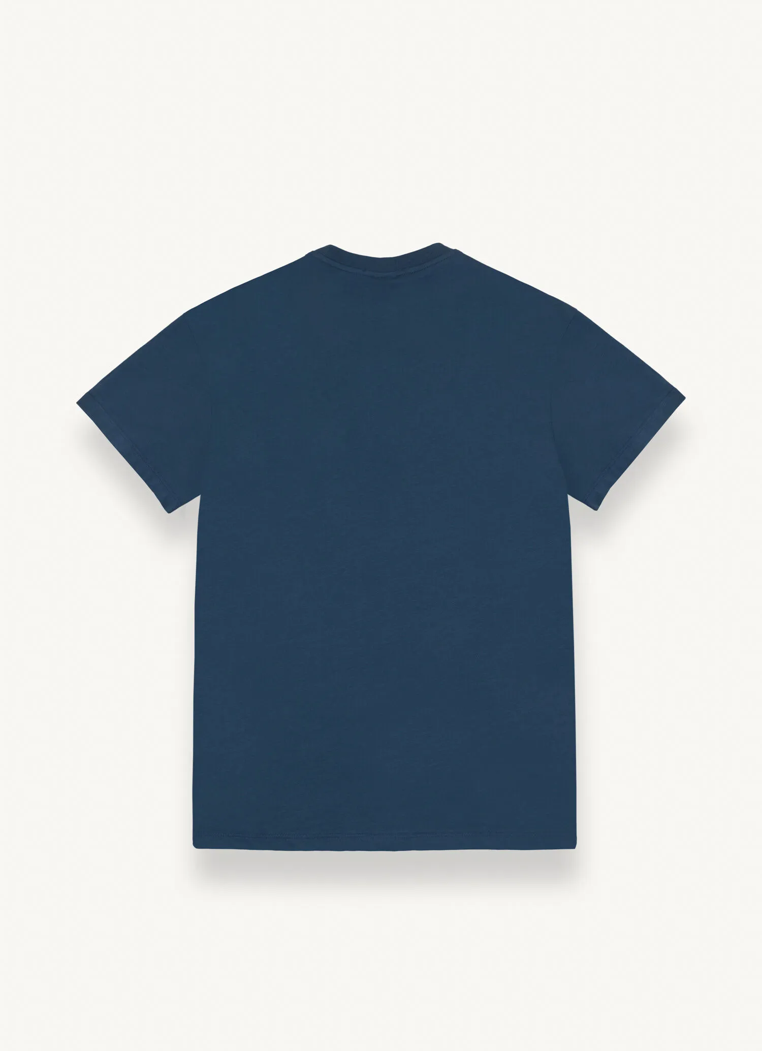 Men's T-shirt with short sleeves in cotton jersey